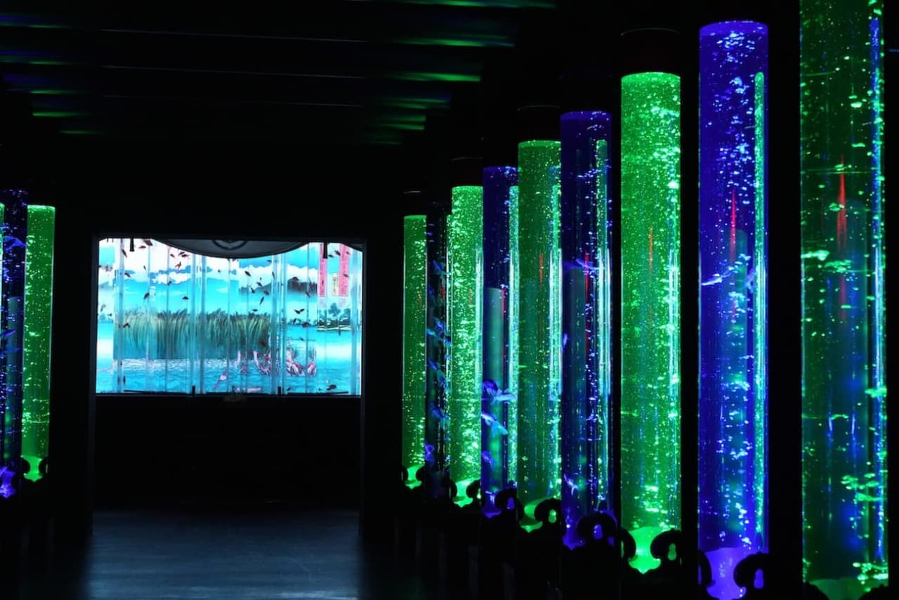 Art Aquarium Museum GINZA Ticket - image 3
